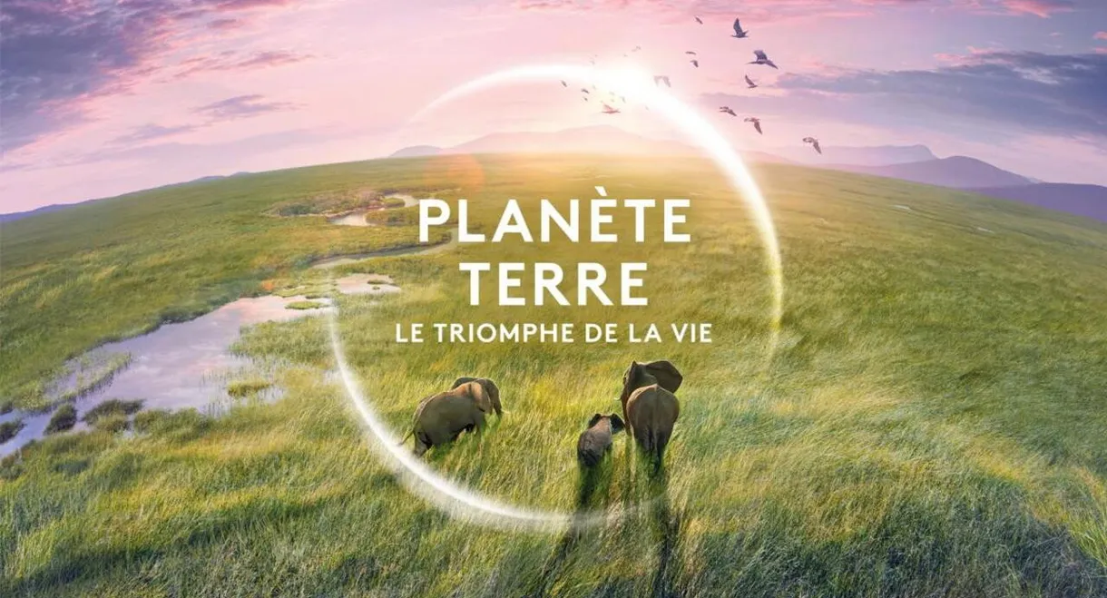 Planète Terre, le triomphe de la vie