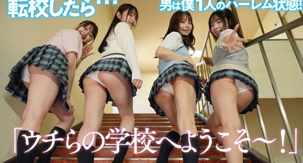 PFES-101 Panty-Flashing Harem Academy: I'm the Only Guy!? Seductive Panty-Flashing Sex with All the Girls in My Class!