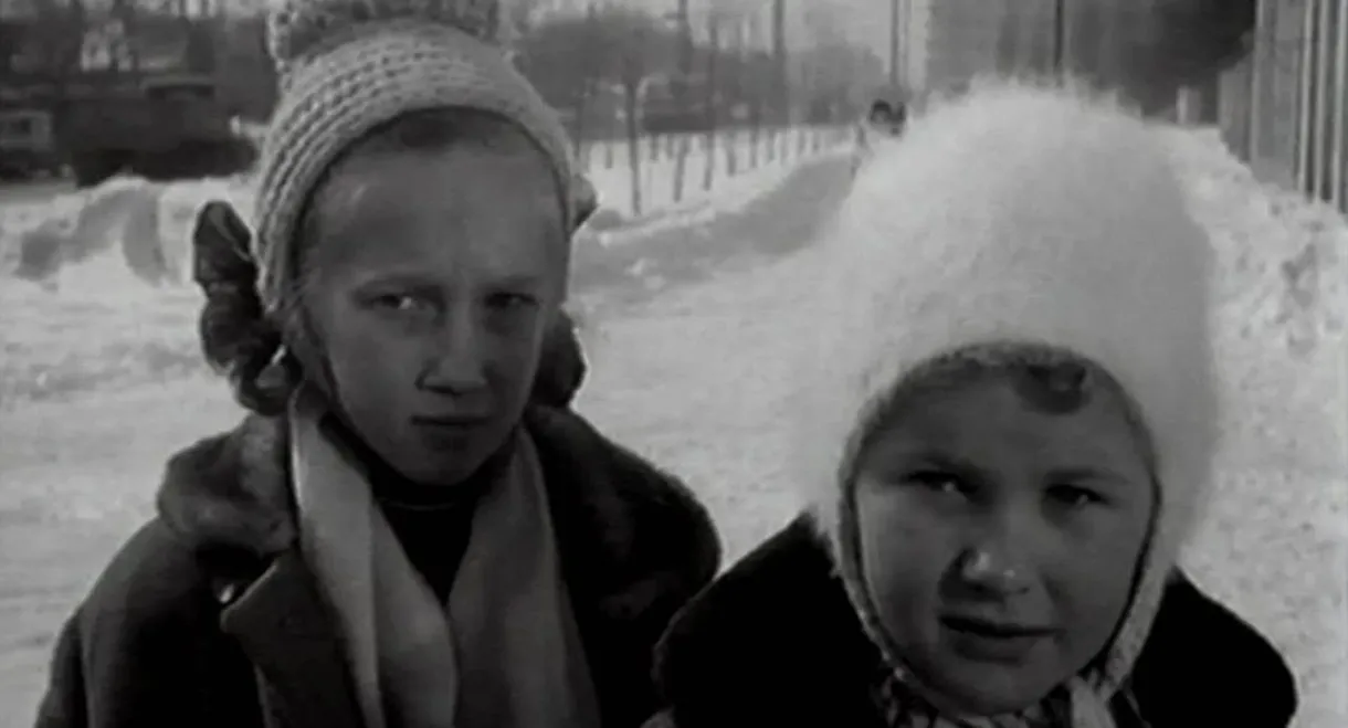 Give Me a Paw, My Friend!