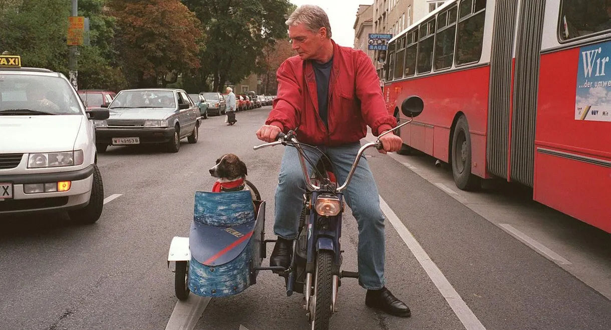 Alltagsgeschichte – Niederhofstraße Untermeidling