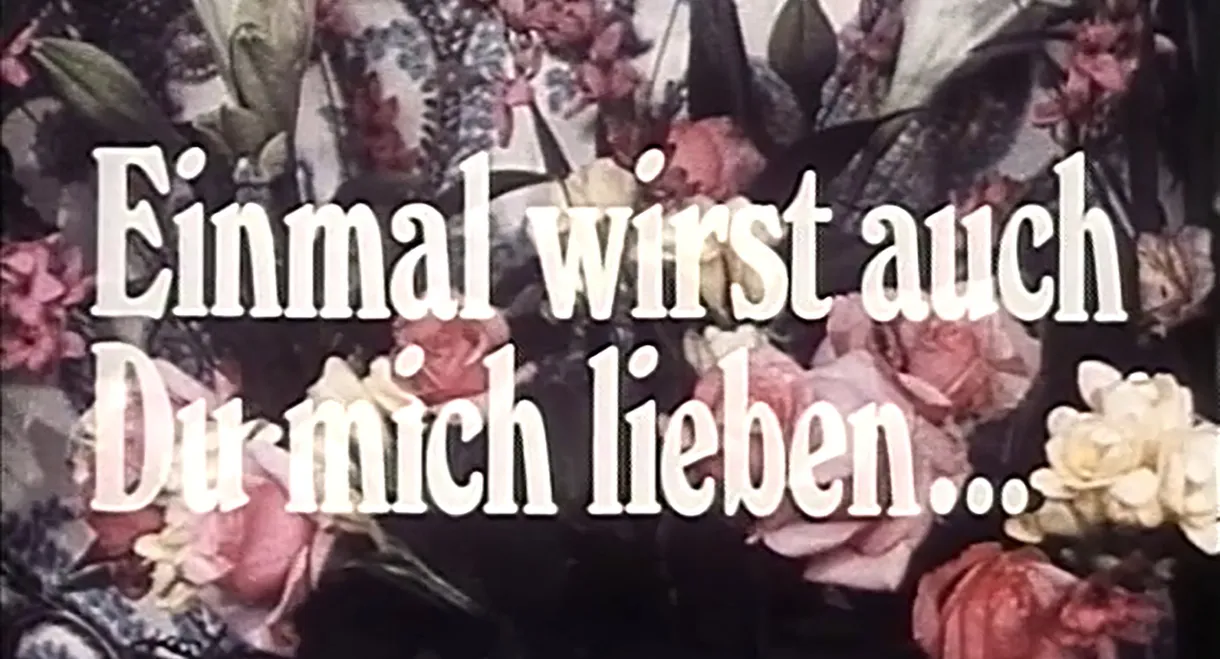 Einmal wirst auch du mich lieben. Über die Bedeutung von Heftromanen