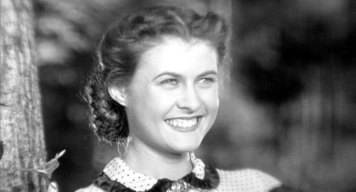 The Abused Love Letters