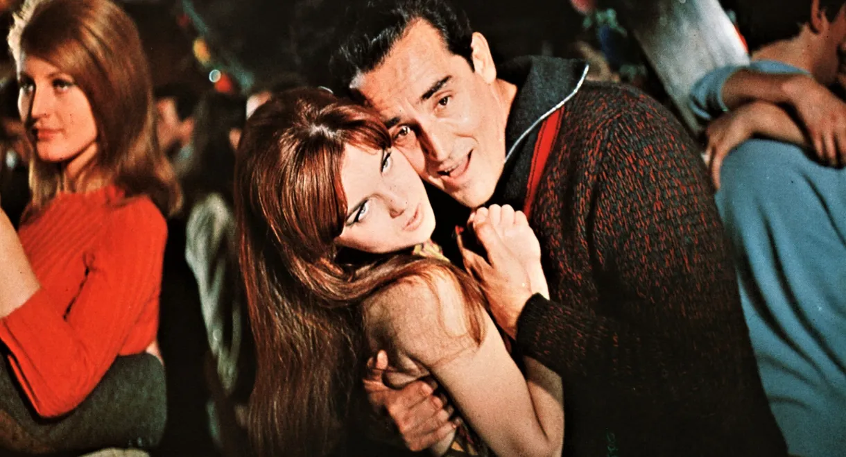 The Tiger and the Pussycat