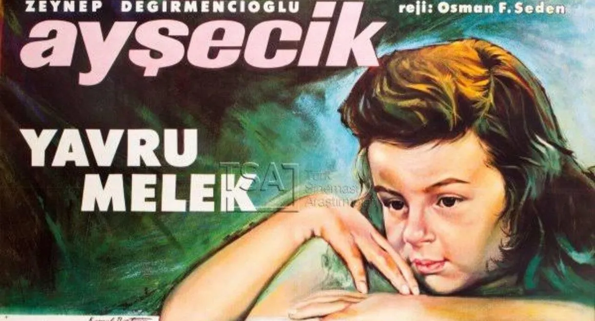 Ayşecik Yavru Melek