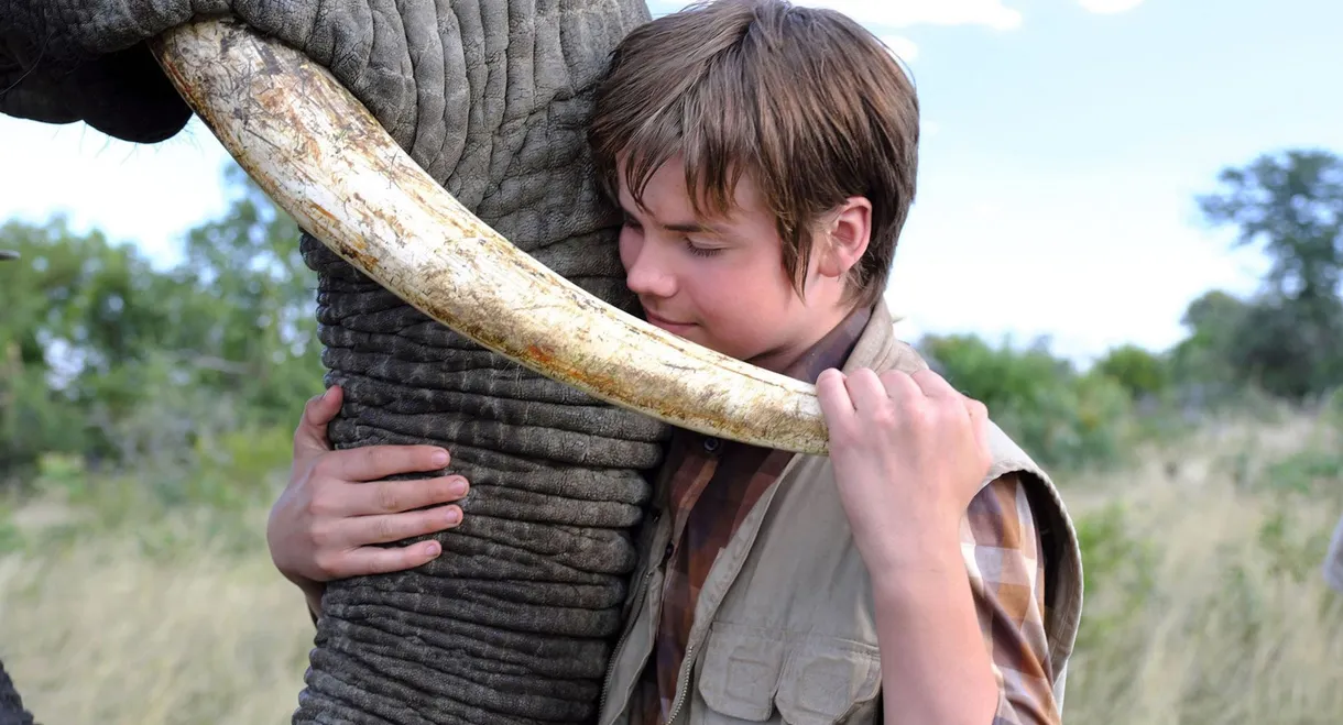 An Elephant's Journey