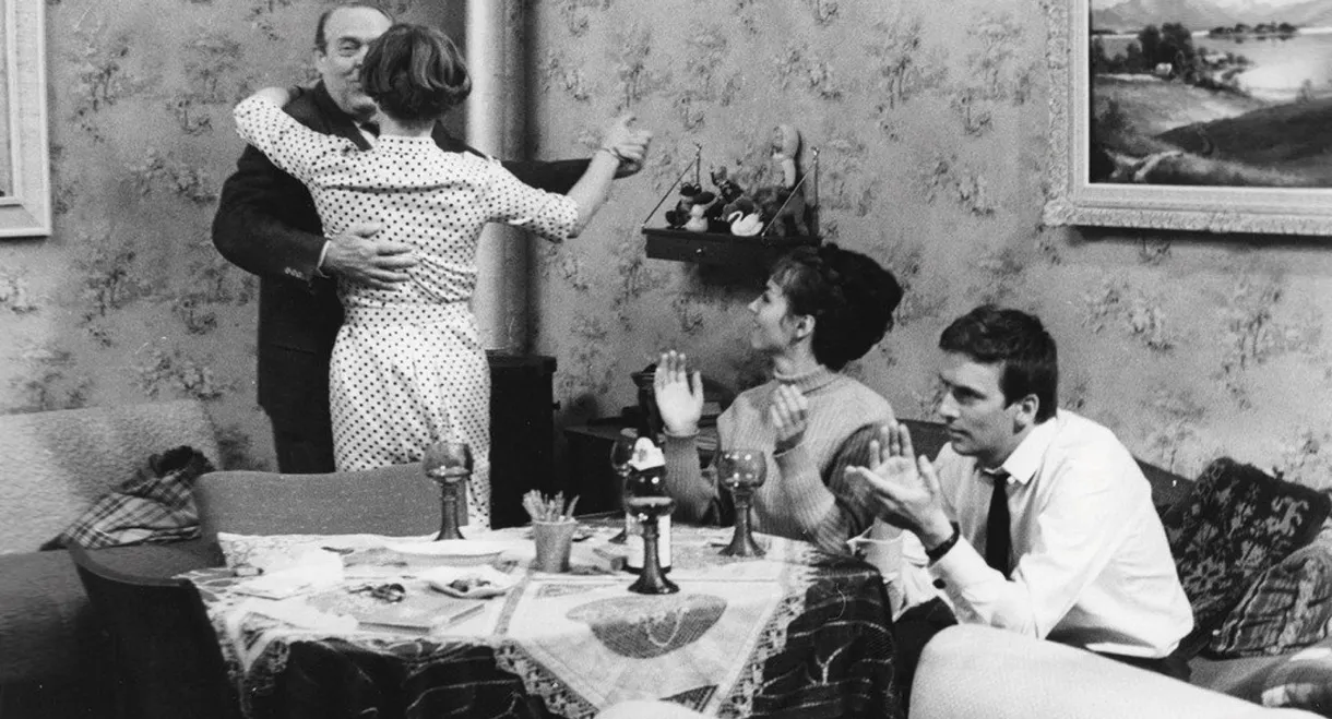 No Shooting Time for Foxes