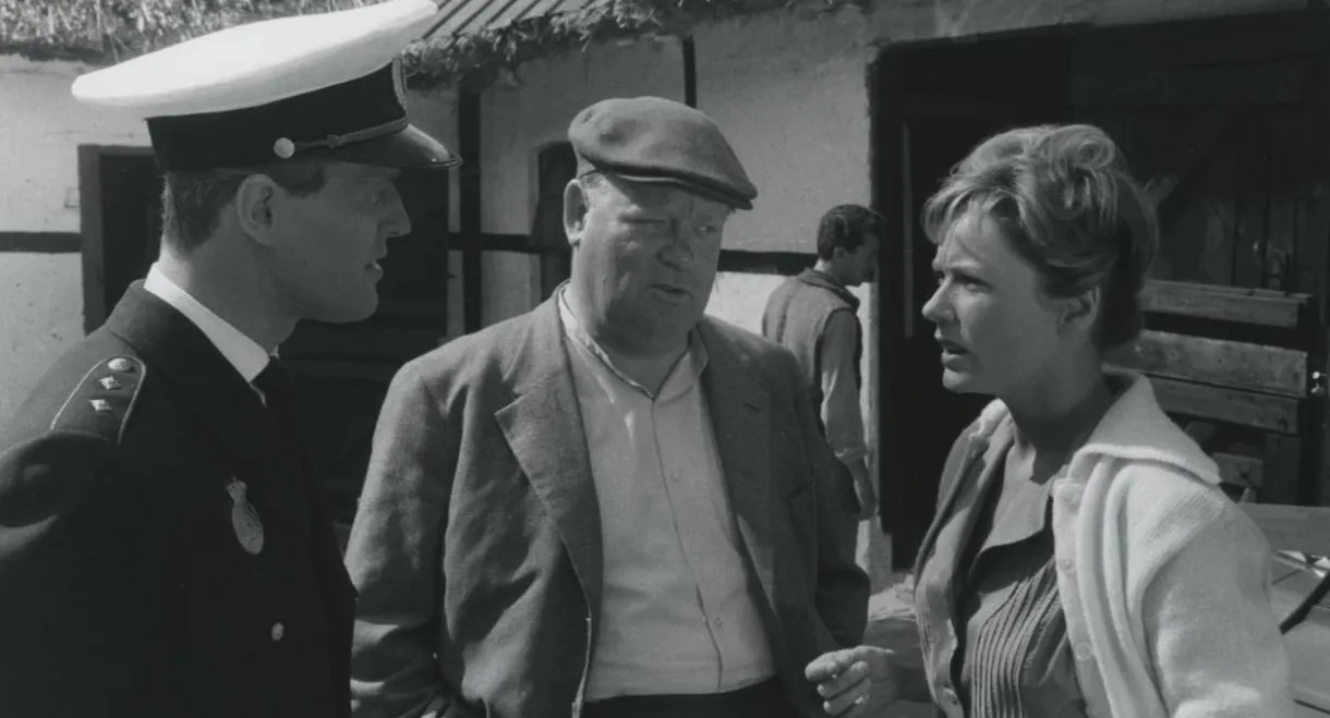 The Boy Who Loved Horses