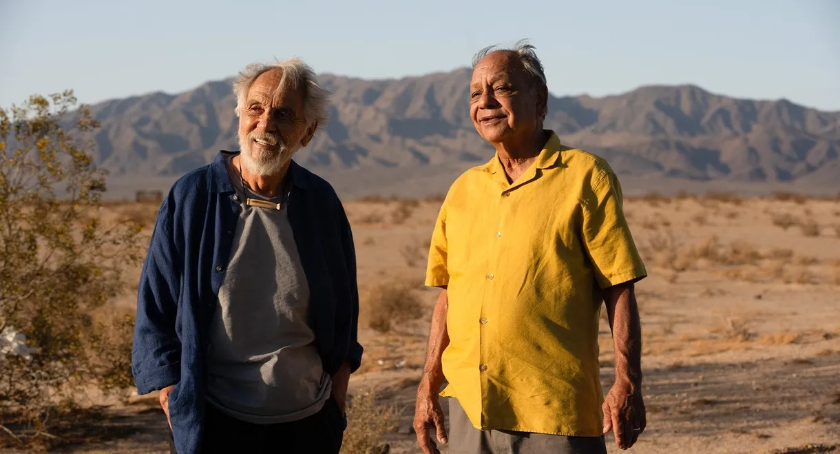 Cheech & Chong's Last Movie