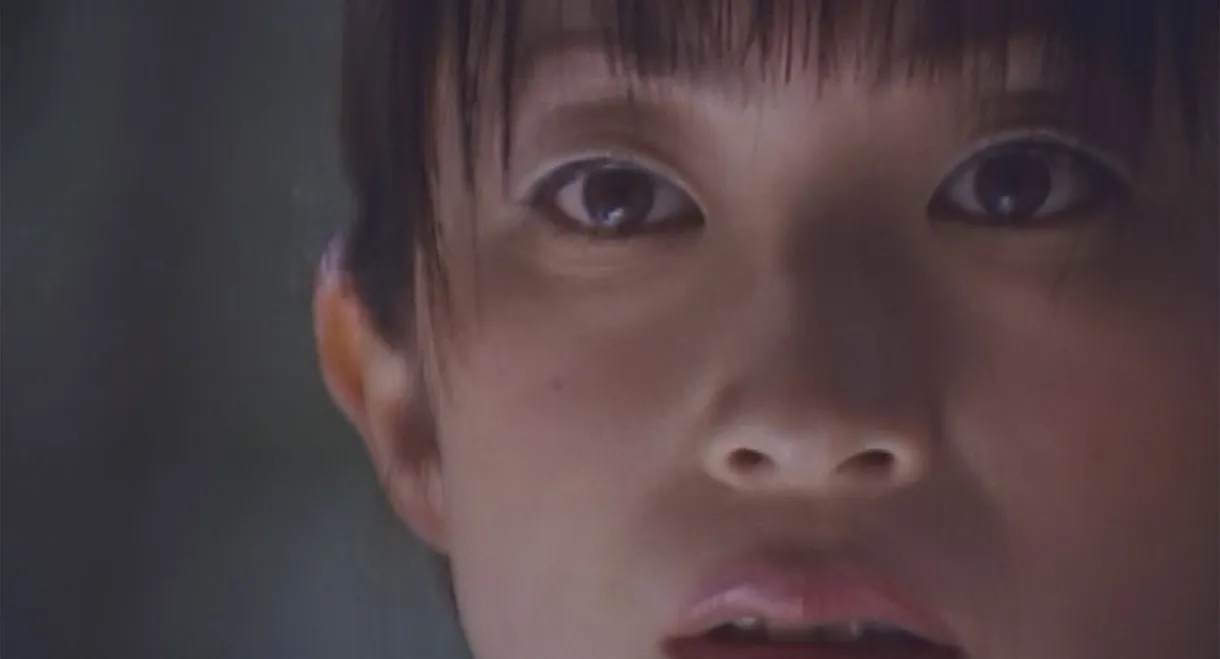 The Secret in the Attic