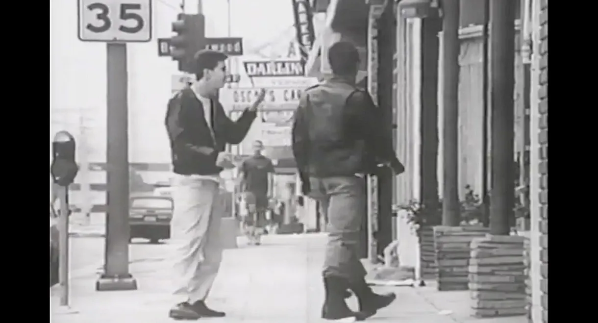 The Natural History of Parking Lots