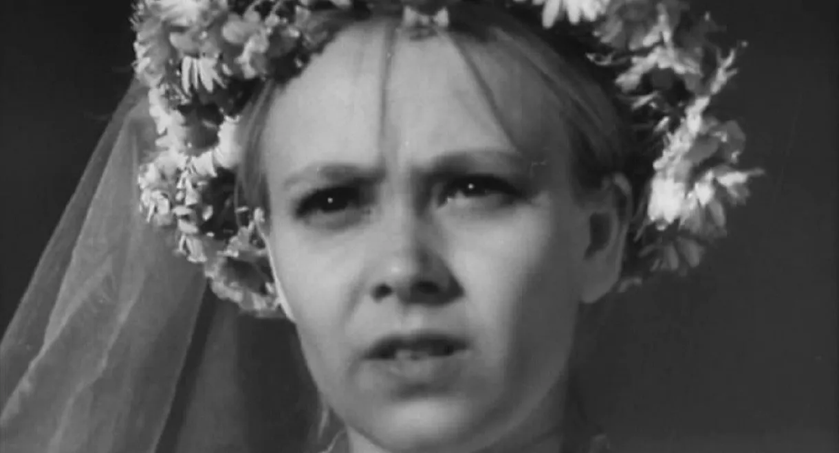 Drama in the Barber’s Shop