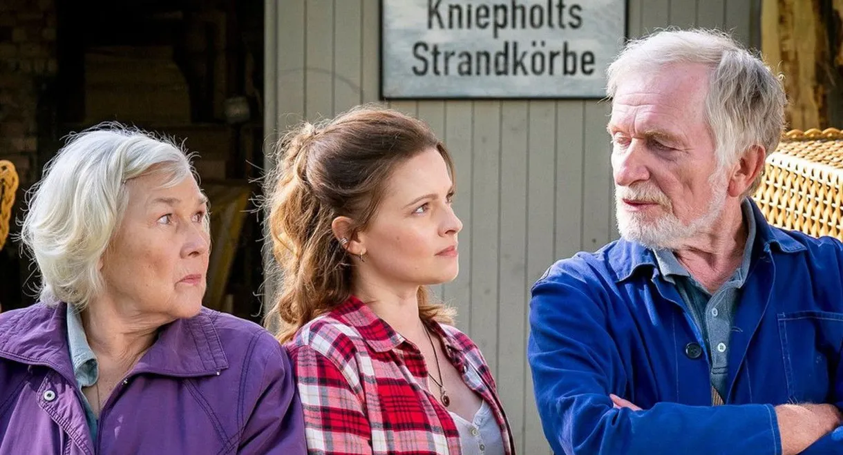 Baltic Sea for Pigheaded People