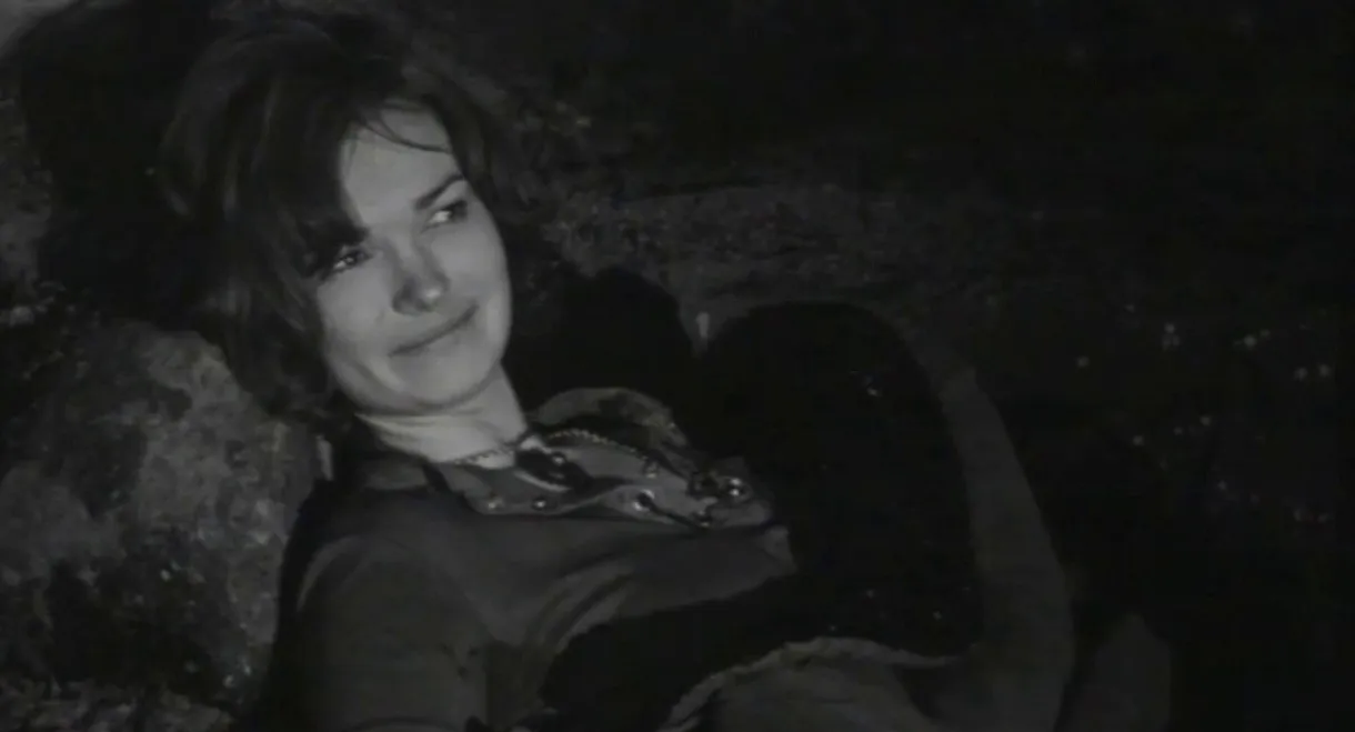 Areal 618: De forviste