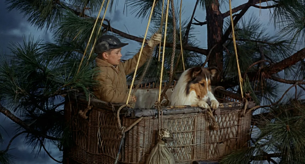 Lassie's Great Adventure
