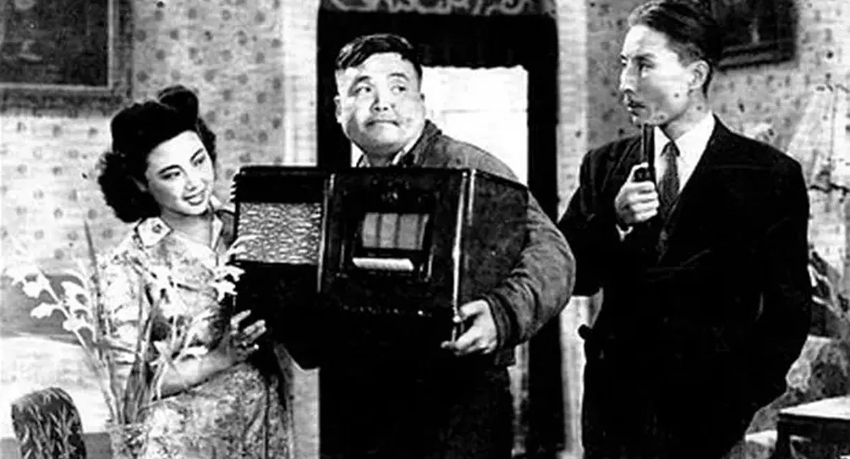 Songbird Flies Over the World