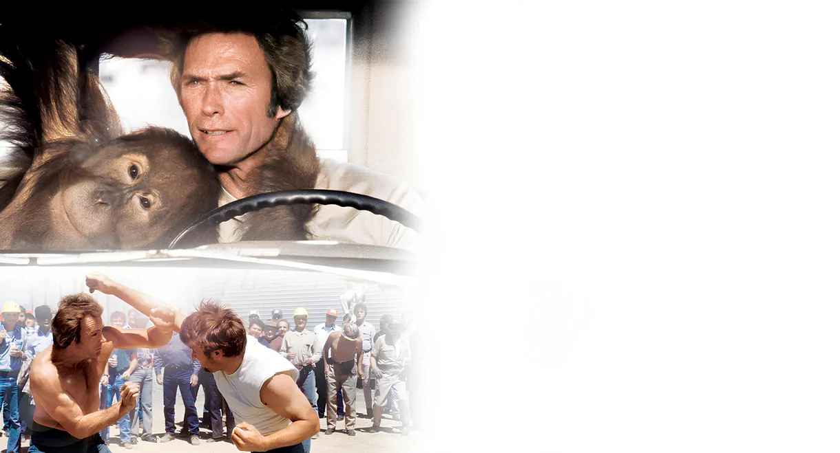 Every Which Way but Loose