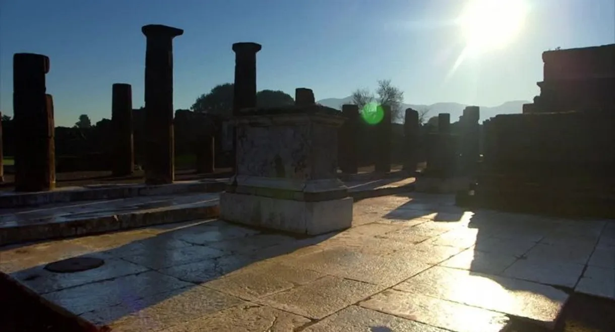 The Other Pompeii: Life & Death in Herculaneum