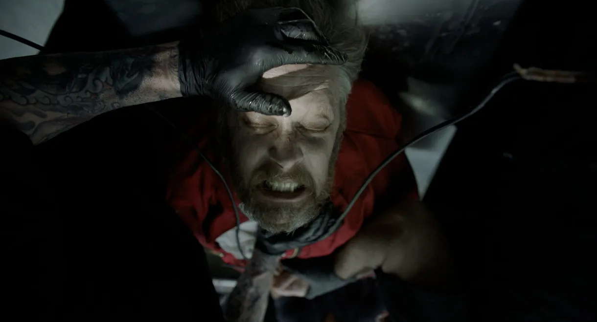 Blood in the Shadows