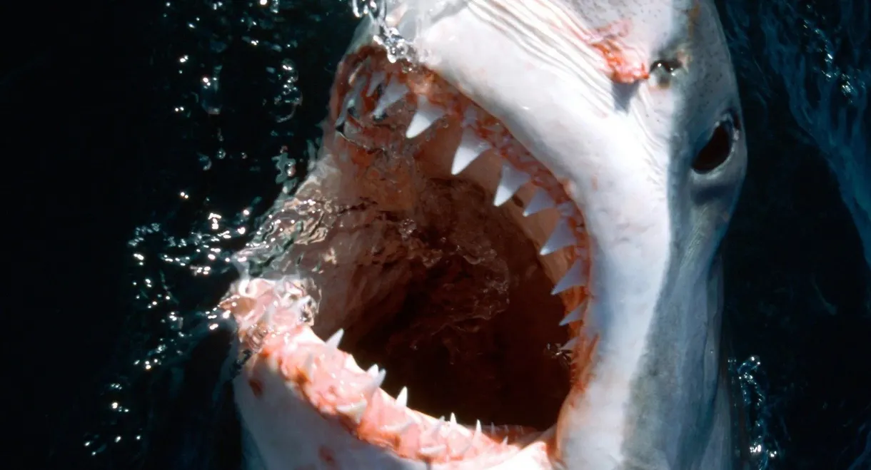 10 Animals That Will Kill You