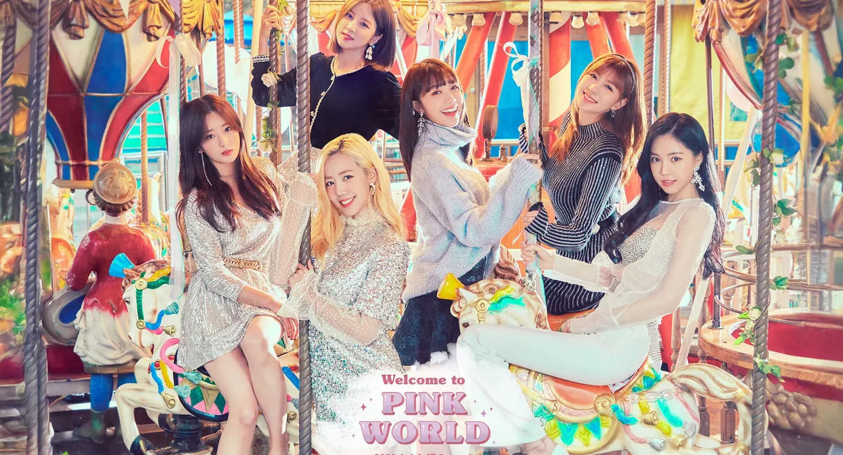 2020 Apink 6th Concert 'Welcome To PINK WORLD'