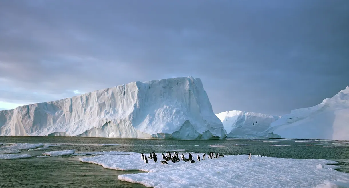 Antarctica: On the Edge