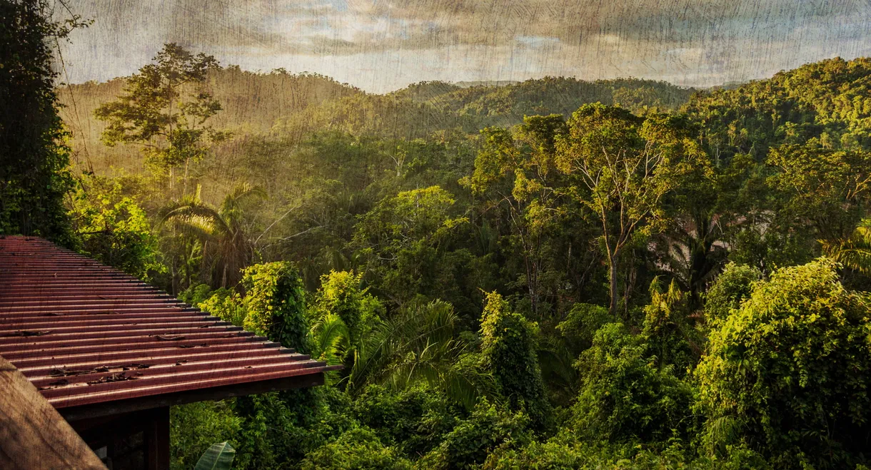 The Cannibal in the Jungle