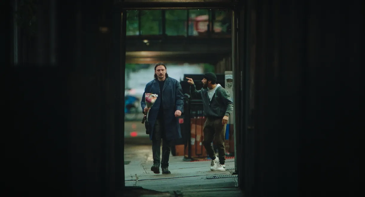 One Night in Brooklyn