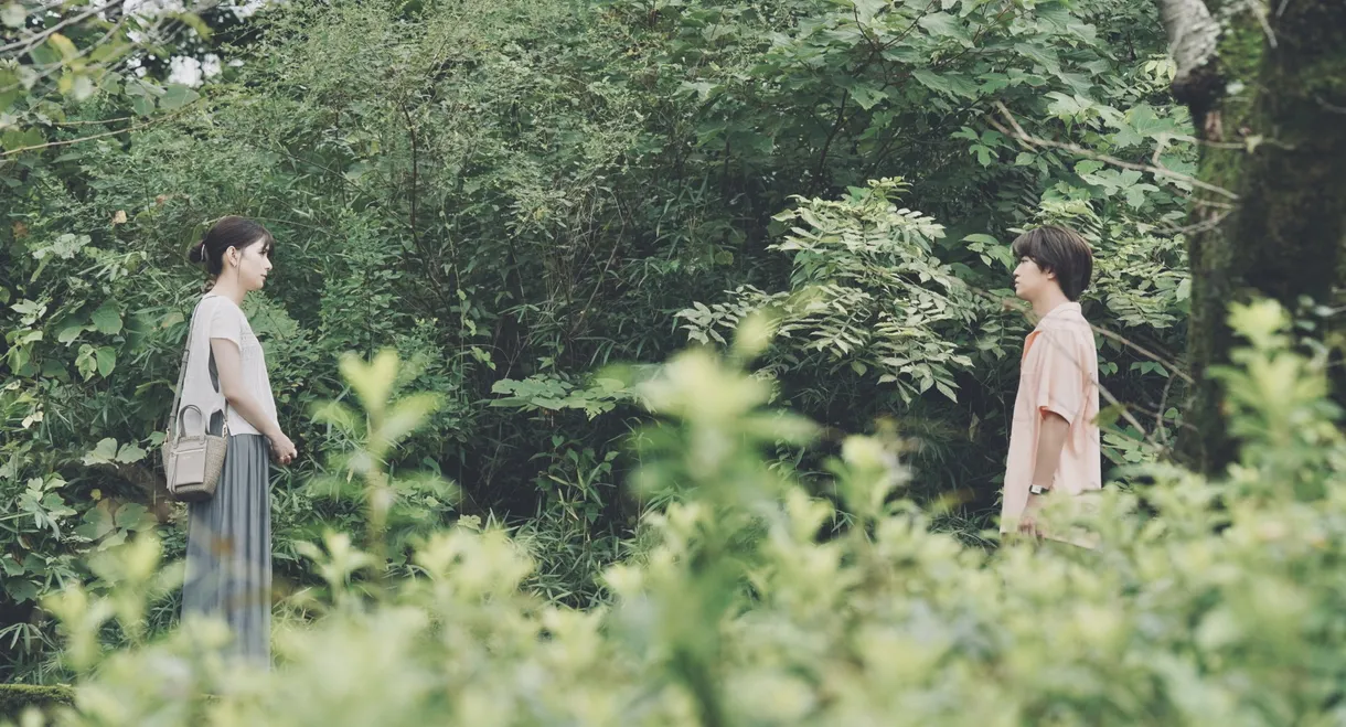 Can't Cry with Your Face