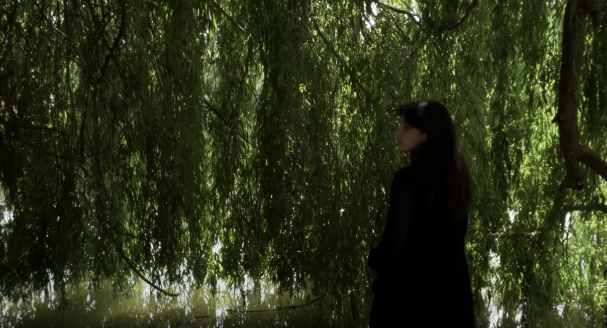 Que reste-t-il de nous ?