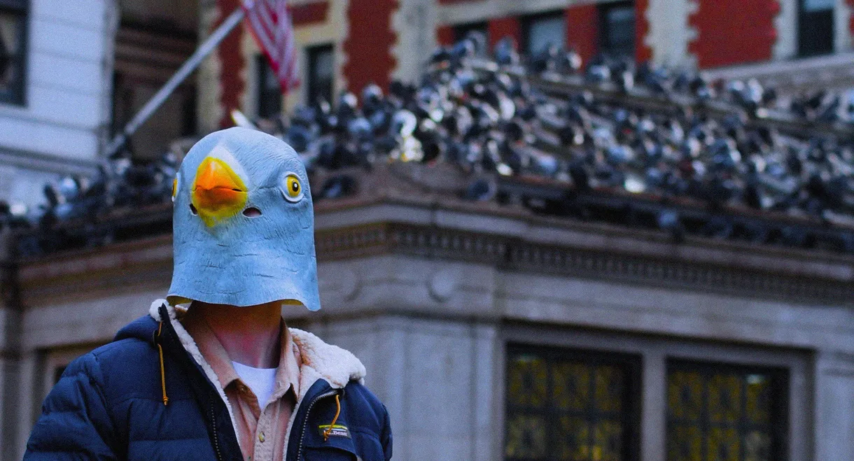 The Pigeon Man