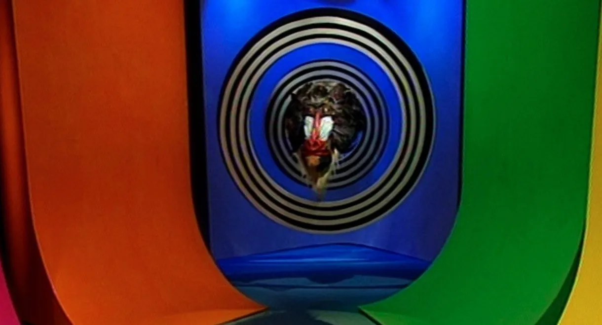 Casper & Mandrilaftalen 1: Kig