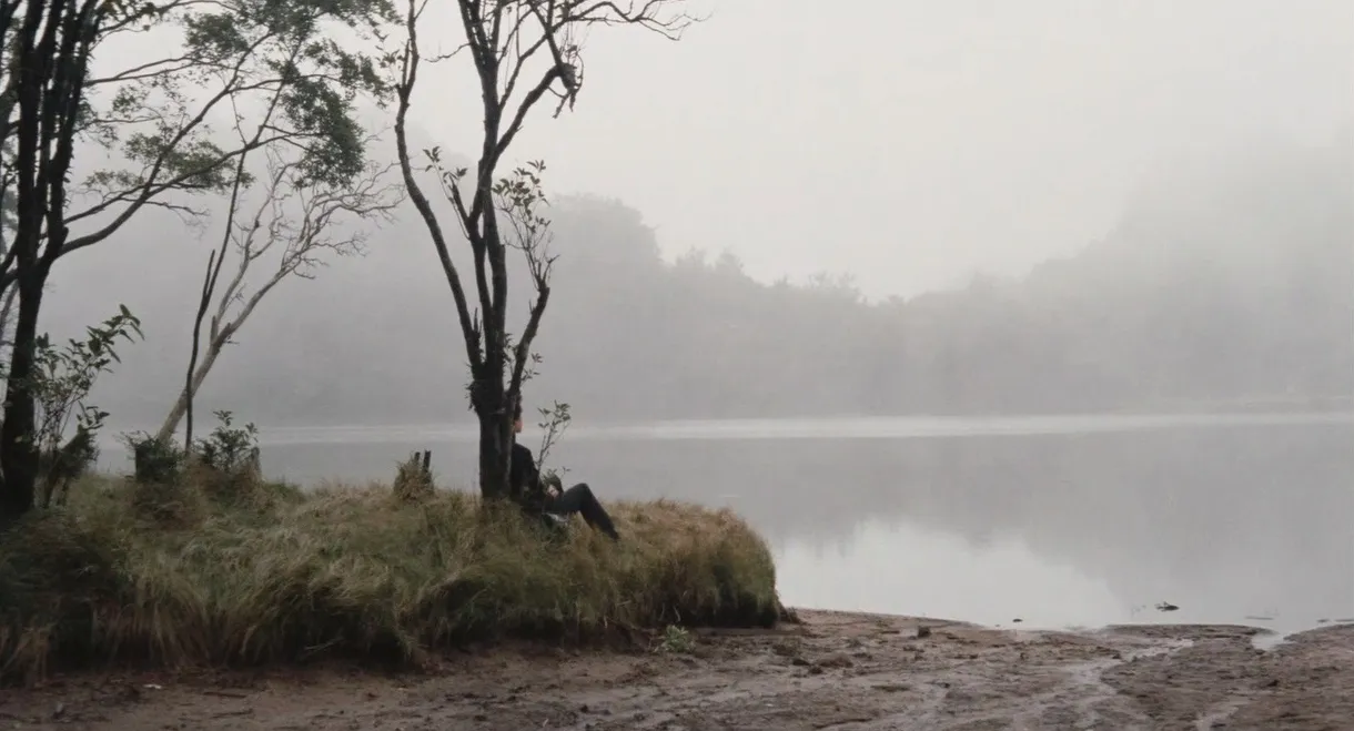 School Festival Night: A Sweet Experience