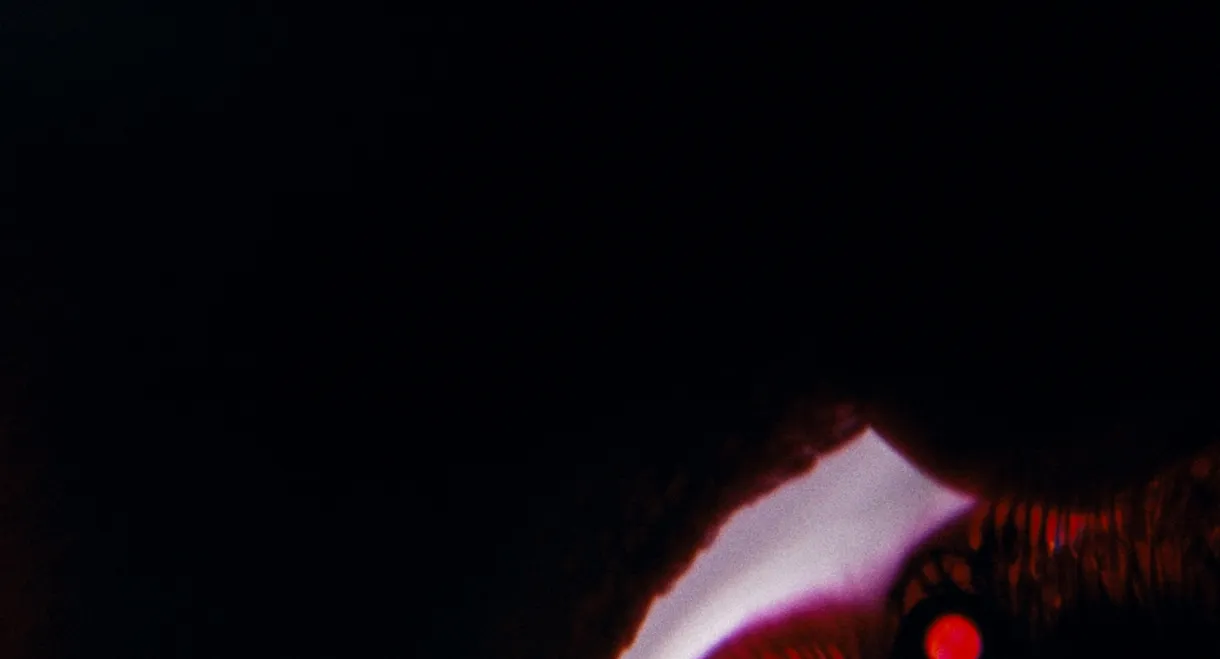 Bela Belara's A Vampire