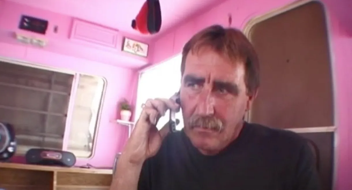 Doily's Summer of Freak Occurrences