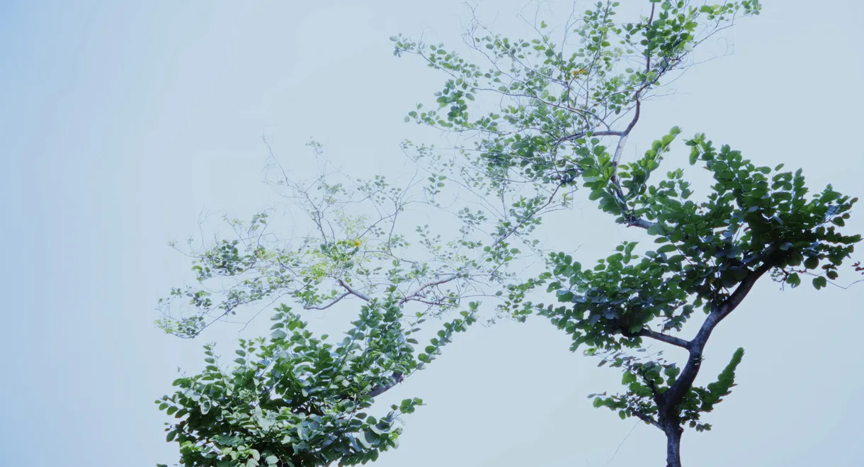 Hypothesis of Barrier Agreed Upon