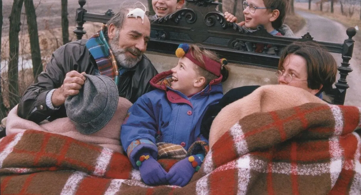 Zirri, das Wolkenschaf