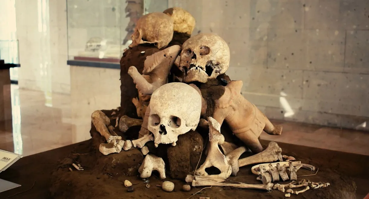 No Se Acabarán Mis Flores