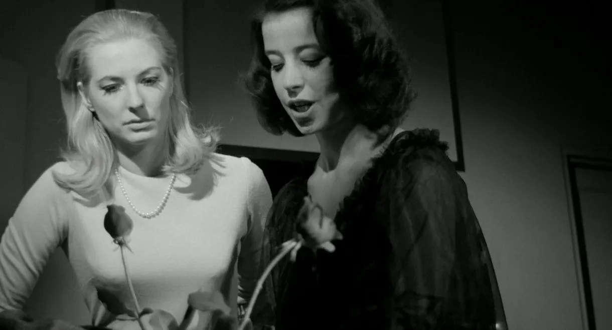 Red Roses of Passion