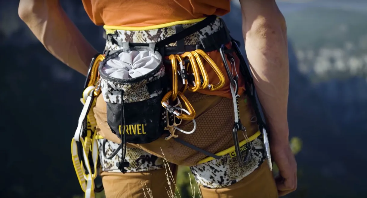 Verdon - The Show Must Go On