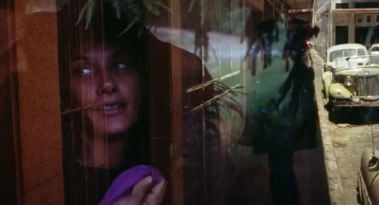 The Werewolf: A Midnight Terror