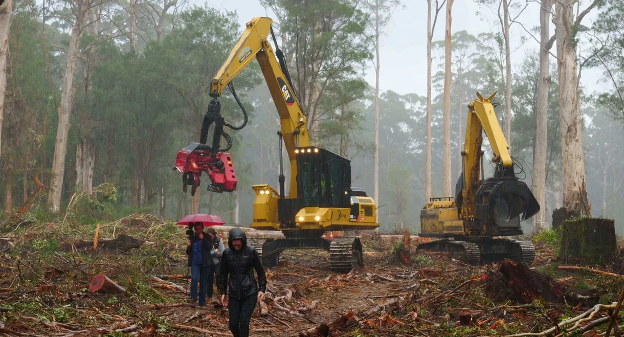 Cry of the Forests - A Western Australian Story