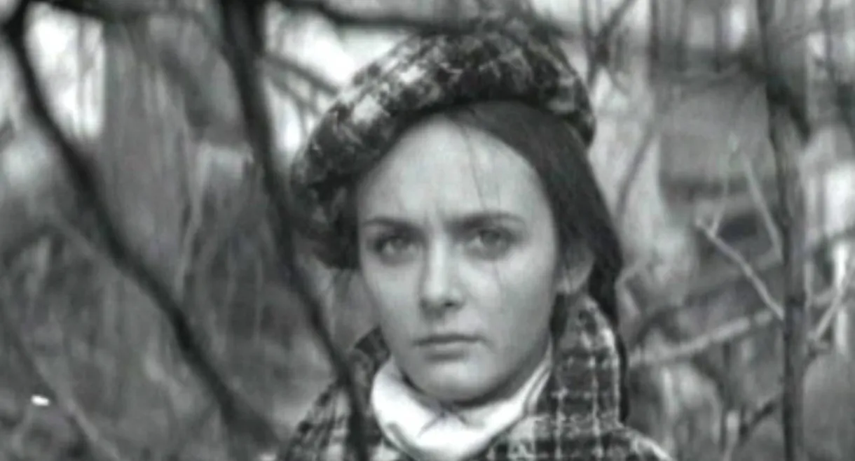 No One in Your Place