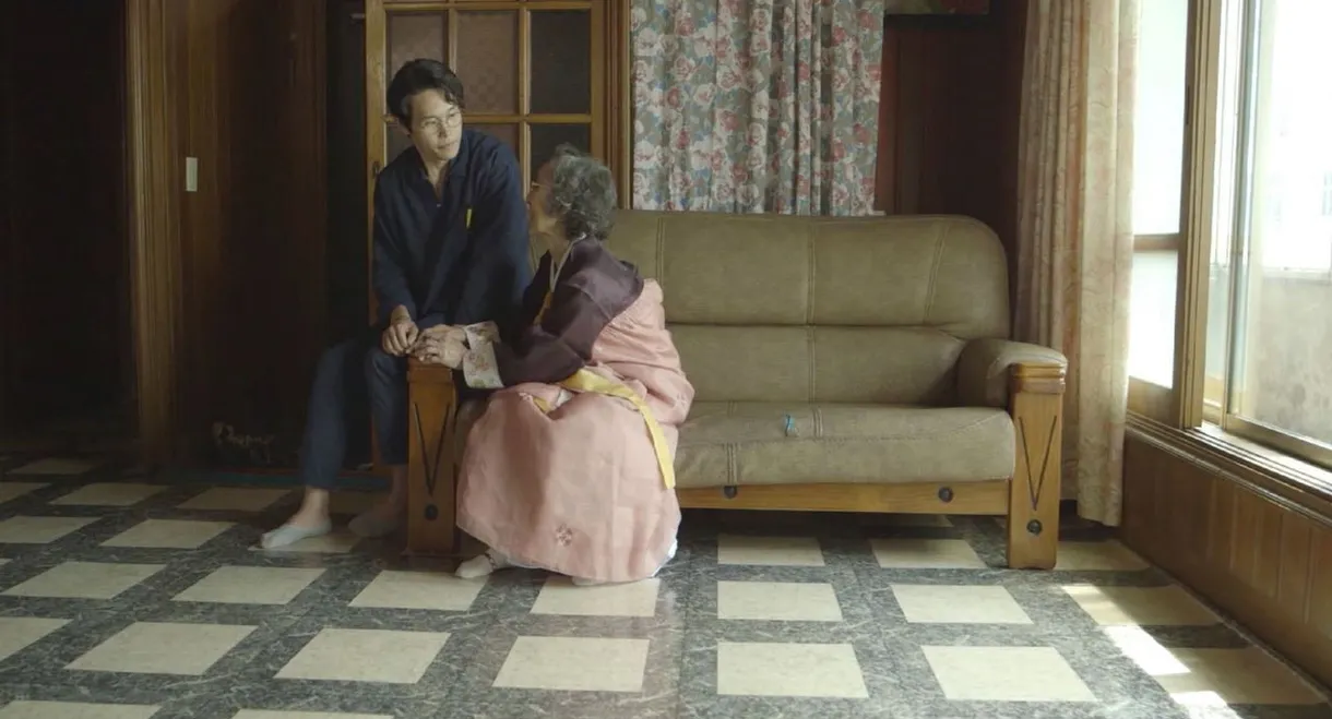 My Little Television