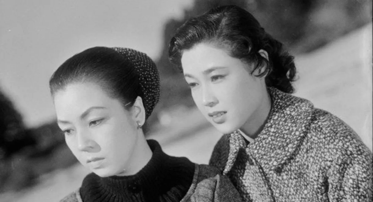 A Rainbow at Every Turn