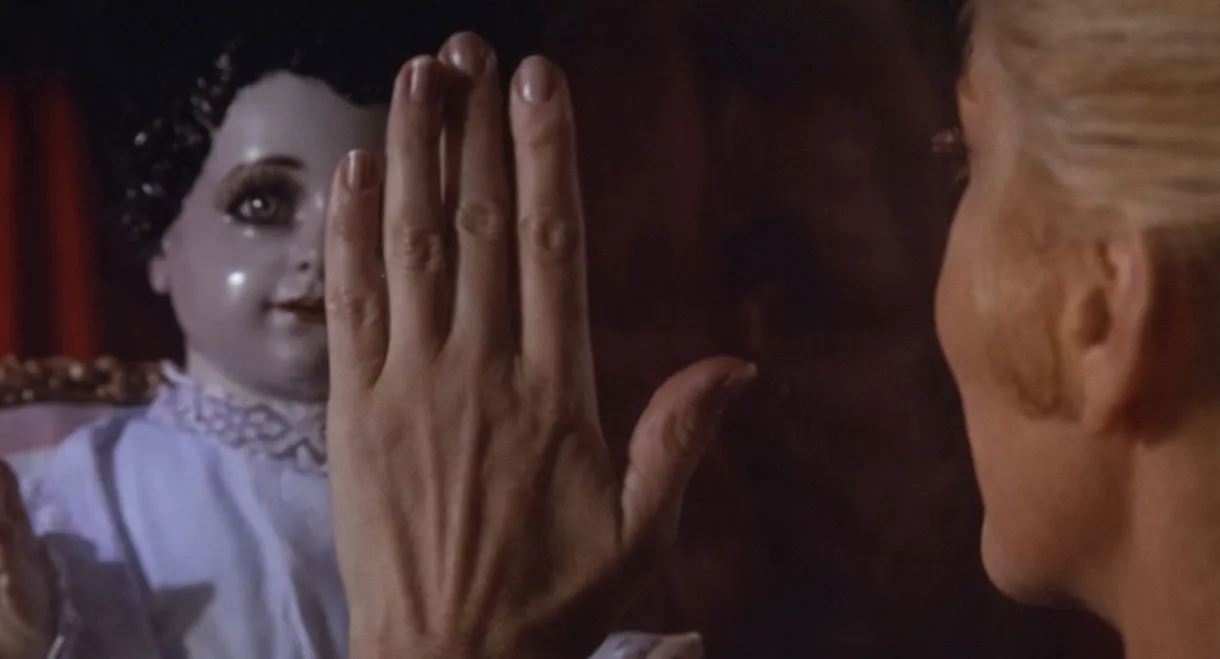 The Dried Butterflies