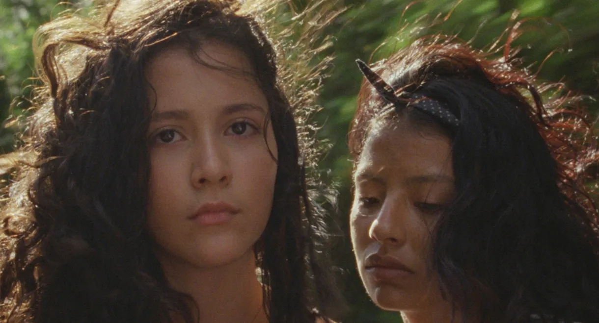 Between You and Milagros