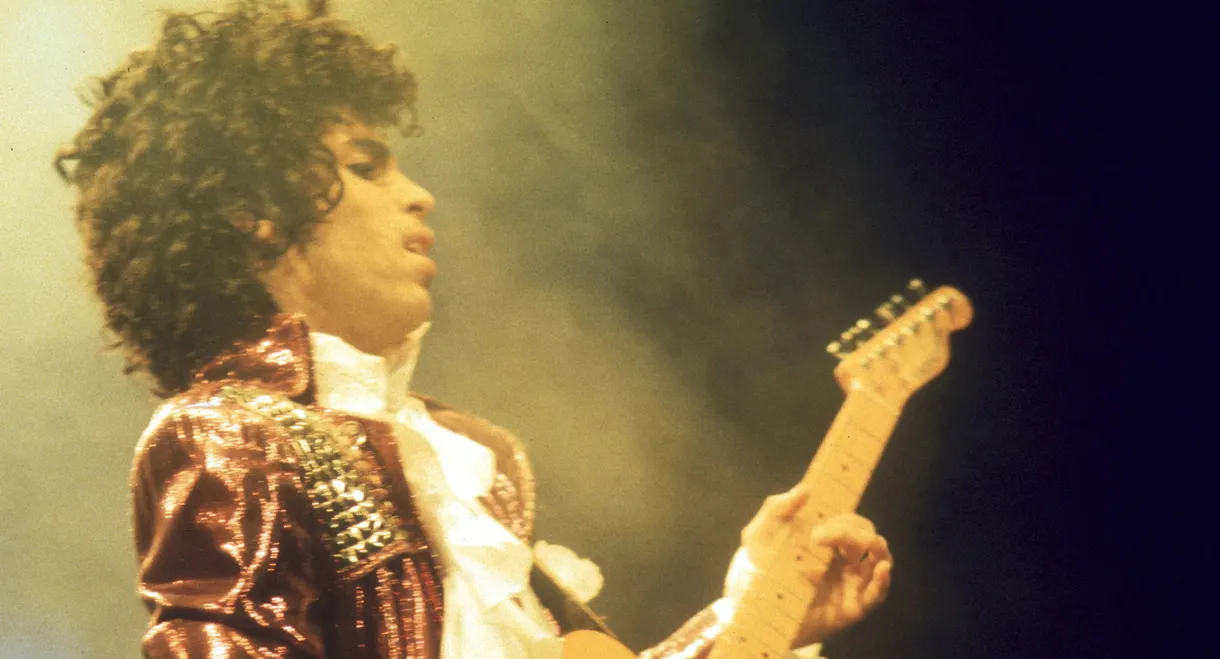 Prince: 1999 Live In Houston 12-29-82