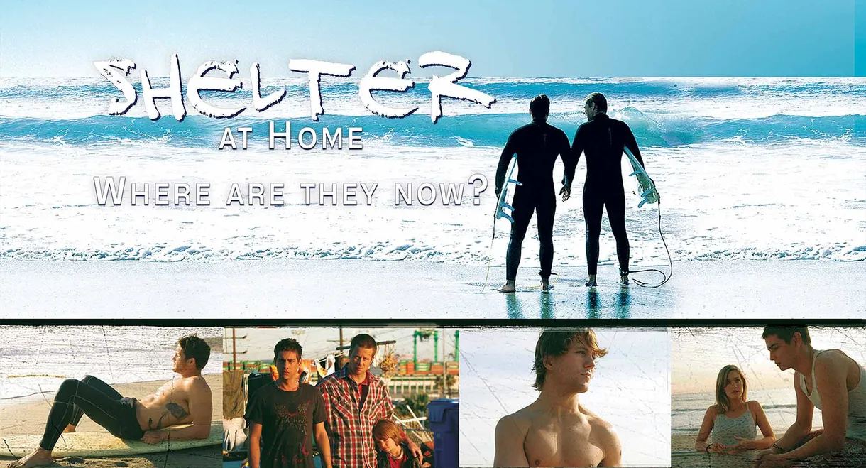 Shelter at Home: Where Are They Now?