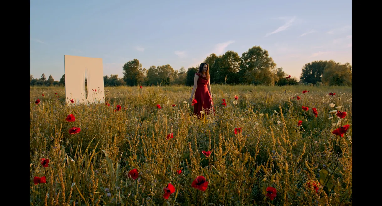 I Papaveri Sono Alti Alti Alti