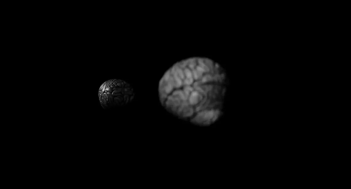 Brian; or, Brain